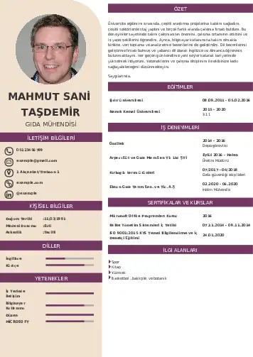 Gıda Mühendisi CV Örnekleri cv indir